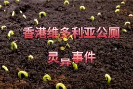 香港维多利亚公厕灵异事件视频封面