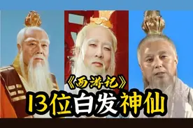 西游记13位白发神仙，太白金星慈祥可爱，孙悟空师傅仙气满满！