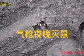 国外工厂夜晚灭鼠，一枪放倒一只，打的根本停不下来，太过瘾了。视频封面