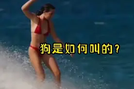 狗是如何叫的？