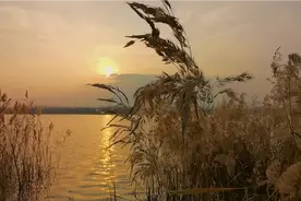 济南免费景点，鹊山龙湖湿地公园，休闲钓鱼的好地方视频封面