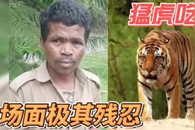 真实事件：老虎咬人吃人！当两脚兽遇到猛兽，是如此不堪一击视频封面