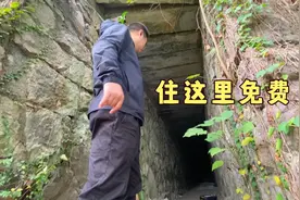 桥洞族买不起房住桥洞，里面大神快住满了，年年免费住视频封面