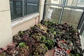 为了孩子读书买的房子，房子买了，可却突然发现上不了了