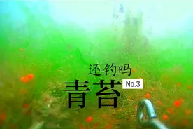 知道吗，用岸边碎土对付青苔，方便实用一箭多雕，春钓妙招分享视频封面