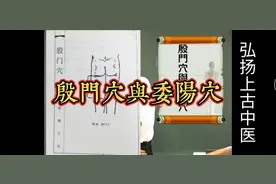 倪海厦《人纪》针灸之足太阳膀胱经殷门委阳穴介绍