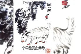 十二生肖之未羊，你的属相是什么？#羊