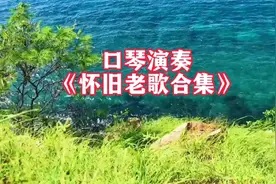 口琴吹奏《怀旧老歌合集》悠扬的琴声里有记忆深处的无限美好憧憬