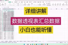 详细讲解数据透视表汇总数据小白也能听懂 WPS表格 Excel表格视频封面