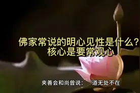 佛家常说的明心见性是什么？核心是要常常观心视频封面