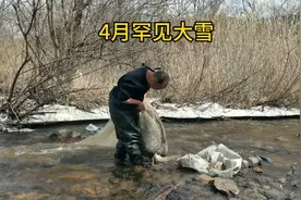 东北林区4月罕见大雪，看看爆网了吗？视频封面