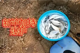 新买的鲫细王开竿，6.3米很好抛投，玩一天不累！视频封面