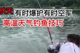 高温天气三大钓鱼技巧，三伏天有时爆护有时空军的原因