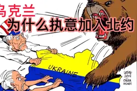 北约有什么优势，乌克兰为什么执意要加入北约？视频封面
