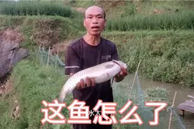 表姐发现鱼塘里有鱼翻白，叫小梁去捞，这到底是啥回事视频封面