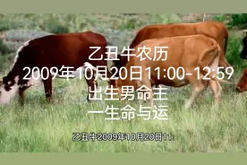 乙丑牛农历2009年10月20日11:00-12:59出生男命主一生命与运