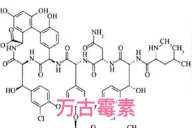 超级抗生素万古霉素视频封面