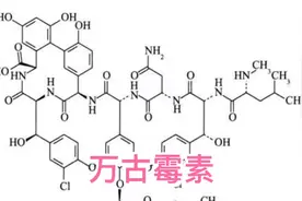 超级抗生素万古霉素视频封面