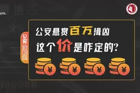 公安冷知识——公安悬赏百万缉凶，这个价是咋定的？视频封面