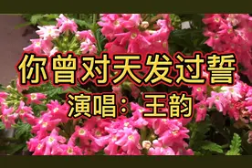 《你曾对天发过誓》我真想和你过一辈子，可你对我的伤害从未停止视频封面