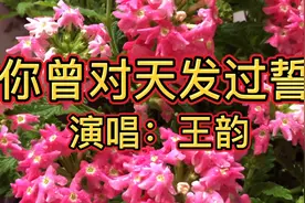 《你曾对天发过誓》我真想和你过一辈子，可你对我的伤害从未停止视频封面