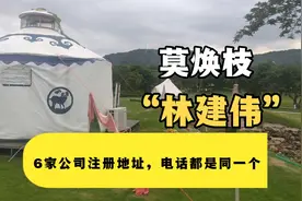 六家公司，地址相同，电话号码都相同。视频封面
