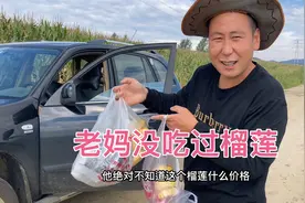 农村小伙花120元买个榴莲，给55岁老妈尝尝鲜，就吃一口全喂猪了视频封面