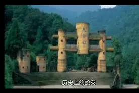 1983年，中国蛇灾是怎么回事？揭秘关于1983年蛇灾始末视频封面