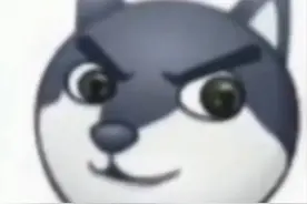 网络热梗37～54种（未完待续）