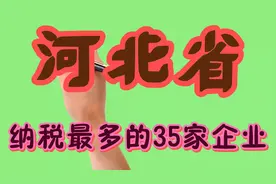 河北省纳税最多的35家企业视频封面