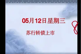 苏行转债5月12日上市，我看它还行，不会破发，你说呢？视频封面