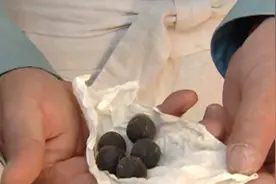 吃了能生儿子的药丸你见过吗视频封面