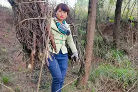 广东女子嫁四川，女子天天砍柴干农活，被人说生活简单把人养废了视频封面