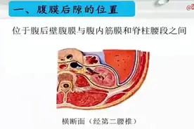 人体局部解剖学-腹膜后隙视频封面