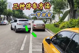 停车其实很简单，只需记住这几句话，你也能轻松一把入库视频封面