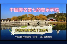 中国最顶尖的七家音乐学院，有没有你家乡的？你们偶像来自这里吗视频封面