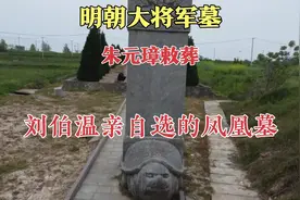 安徽合肥荒野中600年前的明朝古墓，朱元璋敕葬，刘伯温亲自选地视频封面