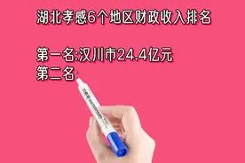 湖北孝感6个地区财政收入排名视频封面