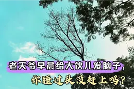 【摘抄】文学大佬怼人名句：毒舌，毒辣，吾辈凡人无出其右视频封面
