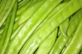 刀豆可治疗胃寒呃逆呕吐和肾虚腰痛视频封面