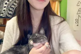 独居女孩和她的小猫咪在深夜发生的不为人知的故事！视频封面