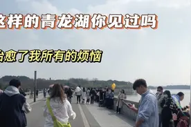 十年难得一遇，成都的青龙湖，惊现人从众，被游客挤爆了的公园视频封面