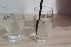 一点洗洁精摧毁水面张力视频封面