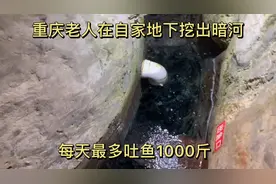 重庆老人在自家地下挖出暗河，每天最多吐鱼1000斤，如今发财没？视频封面