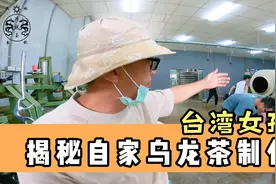 台湾女孩用一分钟让大家了解乌龙茶制作步骤，茶友：仿佛身临其境视频封面