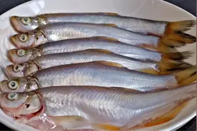 野生翘嘴白鱼不油炸不红烧，鲜嫩入味，营养好吃还健康