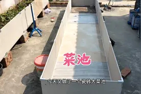 楼顶菜园用这种方法制作瓷砖菜池，既牢固又美观