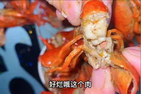 买了20斤活蹦乱跳的小龙虾，不知道为什么虾肉又烂又软？视频封面