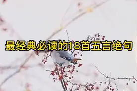 经典必读会背的18首五言绝句，请收藏聆听备用视频封面
