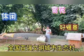 昆明周边的古村落，这也是乡村振兴的模范村，这生活环境也太好了视频封面